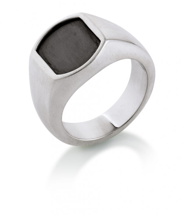 Aagaard Priisholm herre ring - 11714009 Størrelse 62