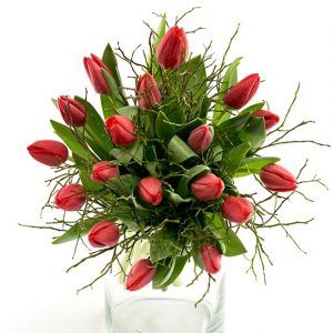 En dejlig frisk buket røde tulipaner med grønne grene