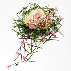Syet rose i rosa