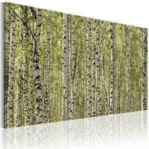 Tavla - A forest of birch trees (120 x 80 cm)