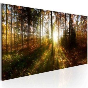 Tavla - Beautiful Forest (135 x 45 cm)