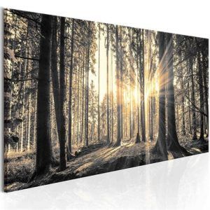 Tavla - Forest Sun (135 x 45 cm)