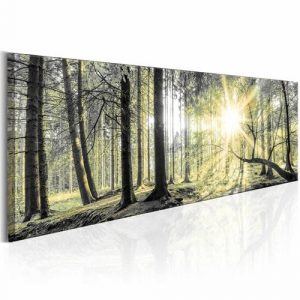 Tavla - Morning Forest (120 x 40 cm)