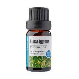 Æterisk olie Eucalyptus 10ml