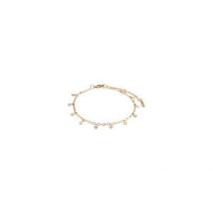 Armbånd : Panna : Guldbelagt
