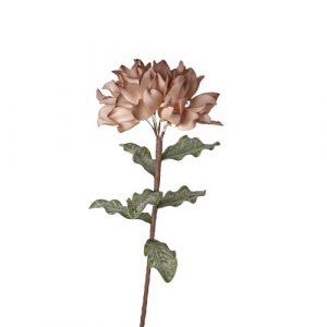 Au Maison Dahlia Blomst