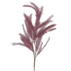 Au Maison Fjergren - Grape