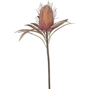 Chic Antique Banksia blomst - rosa