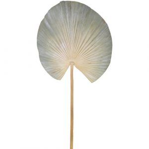 Chic Antique Palmeblad - støvgrøn