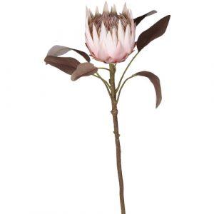 Chic Antique Protea blomst - rosa