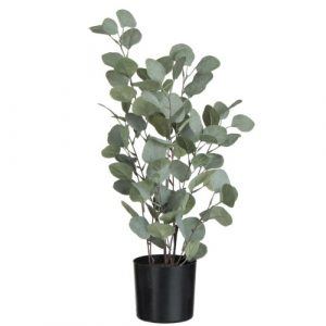 Kunstig Eucaluptus - 60 cm