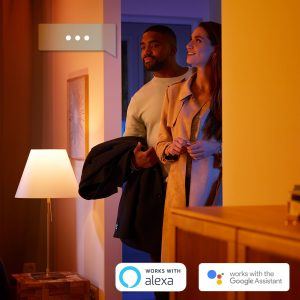 Philips Hue Fugato plate/spiral black 2x5.7W 230V